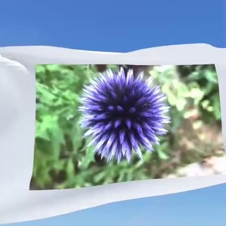 Логотип @allesausser_mainstream - Alles Ausser Mainstream ꙳