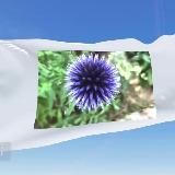 Логотип @allesaussermainstream - Alles Ausser Mainstream