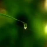 Alles was du zum Leben brauchst