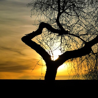 Логотип @alleswasduzumlebenbrauchst_zsfgn - Alles was du zum Leben brauchst - Tageszusammenfassungen und Archiv