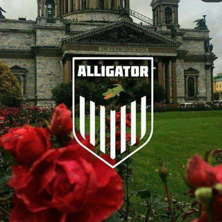 Логотип @alligator_1muzon - ᴀ ʟ ʟ ɪ ɢ ᴀ ᴛ ᴏ ʀ | ᴍ ᴜ ᴢ ᴏ ɴ 🫀