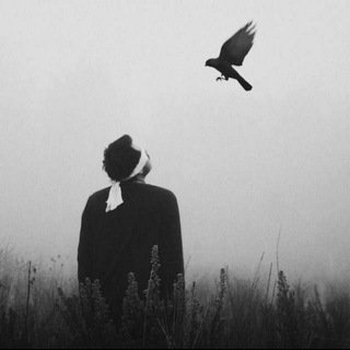 Логотип @allmasad - Записки Ami.