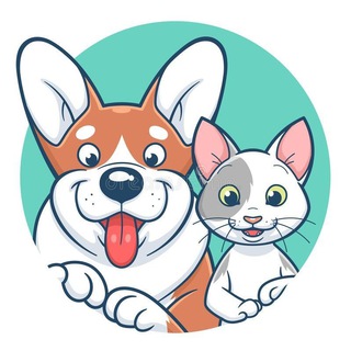 Логотип @almetcatdog - ДОМАШНИЕ ПИТОМЦЫ - ЖИВОТНЫЕ | Альметьевск | ФОРУМ | видео