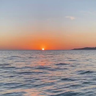 Логотип @almuflihuna - المفلحون