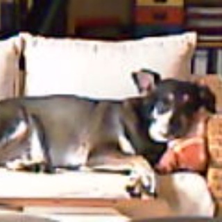 Логотип @alohawelt - aloha Welt