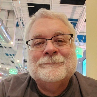 Логотип @aloneraccoon - The Lone Raccoon