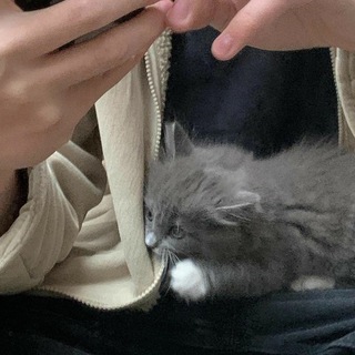 Логотип @alonevibee - 🅐🅛🅞🅝🅔🪐