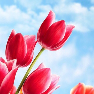 Логотип @aloveletter - a Love Letter ❣️