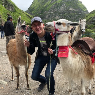 Логотип @alpacainvest_chat - Alpaca Invest