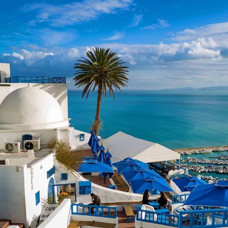 Логотип @alpha_relocation - Релокация в Тунис