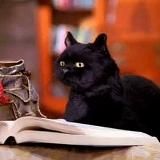 Как пройти в библиотеку?