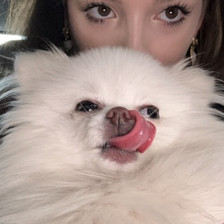 Логотип @alsttp1 - коментики ваши