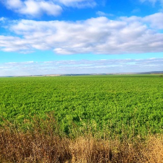 Логотип @altay_dao - AЛТАЙ_ДАО