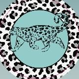 🐾 Друзья снежного барса