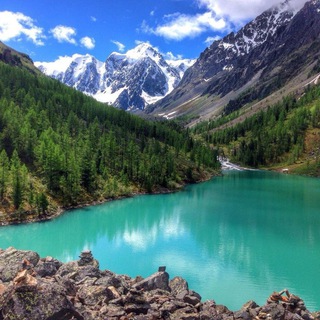 Логотип @altaynash - АЛТАЙ-ЗОЛОТО РОССИИ.ОТДЫХ.БАЗЫ.ТУРИЗМ