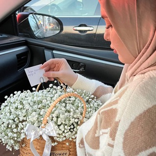 Логотип @alvyshk - Allvo