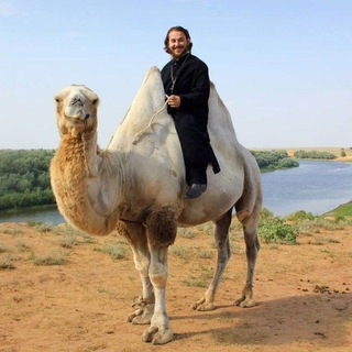 Логотип @alwian - Священник Альвиан