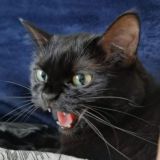 •Еда и Вино•