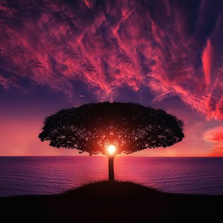 Логотип @am_i_stuck - Я ЗалиП?