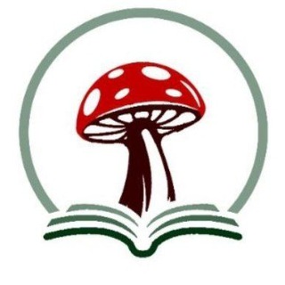 Логотип @amanita_muscaria_institut - Amanita Muscaria Institut 🍄