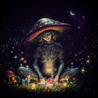 Логотип @amanitadreams - 🍄 Amanita Dreams 🍄