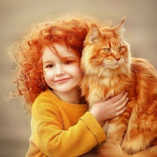 Логотип @amazingandlovelycats - Всё о кошках 🐾✨