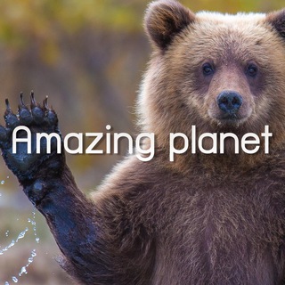 Логотип @amazingplanetfacts - Amazing Planet 🌍