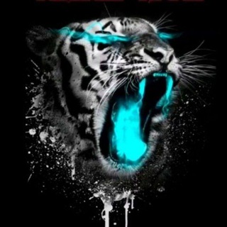 Логотип @amazzzmuz - 𝕬𝖒𝖆𝖟 𝕸𝖚𝖟