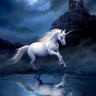 Логотип @amberlawco - Юридическая Компания «Амбер»