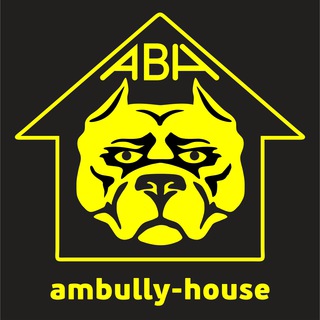 Логотип @ambully_house - Ambully House
