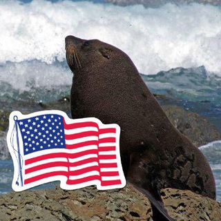 Логотип @american_seal - Американский тюлень