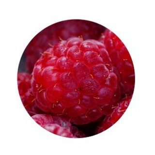 Логотип @amfly - AmFly.RU - О туризме и не только!