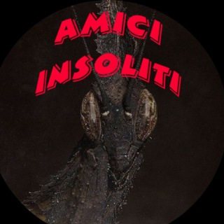 Логотип @amicinsolitinstagram - Mantids & friends