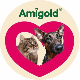 Логотип @amigold_shop - Amigold.shop