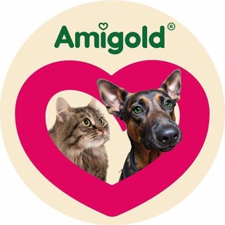 Логотип @amigovetpet - AmiGold