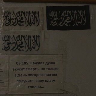 Логотип @amiiiloon - путник