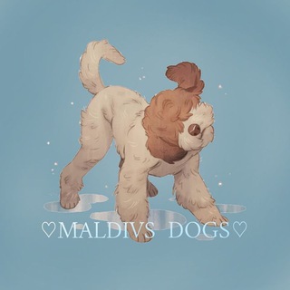 Логотип @amimals_tpo - 🌊👑MALDIVS_DOGS🥥💙