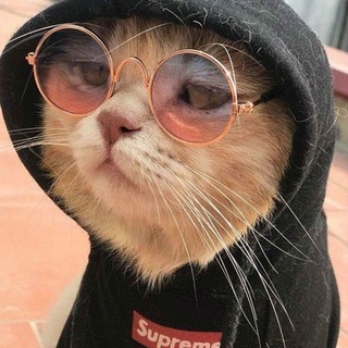 Логотип @aminadoc - Amina Gereykhanova