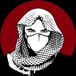 Логотип @aminkrimskiy - Krimskiy