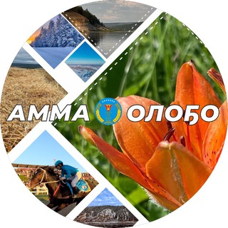 Логотип @amma_olo5o - Газета "Амма оло5о" | Амгинский улус