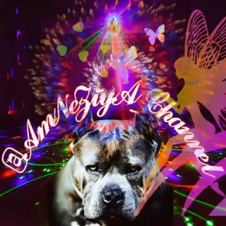 Логотип @amneziya_channel - 💥 @𝓐𝓶𝓝𝓮𝓩𝓲𝔂𝓐_𝓒𝓱𝓪𝓷𝓷𝓮𝓵 💥