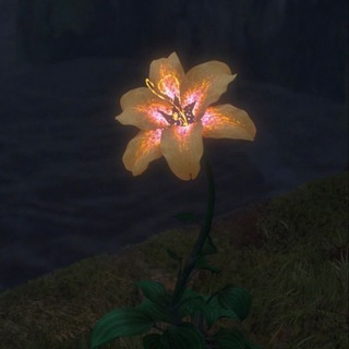 Логотип @amoranimaa - amor.animaa💤🇵🇸