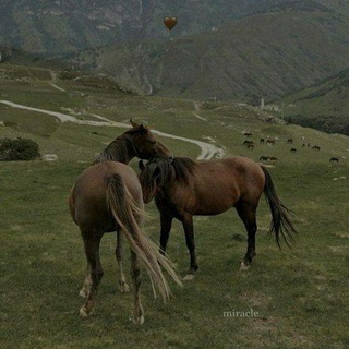 Логотип @amorfatliii - Amor fati✨