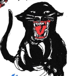 Логотип @amphibixn - 𝙒𝘼𝙍 𝙏𝘼𝙋𝙀𝙎 - 𝘼𝙍𝙏 𝙊𝙁 𝙒𝘼𝙍