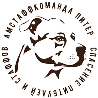 Логотип @amstaffkopiter - АмстаффКоманда Питер