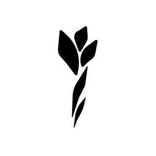 Логотип @amsterdamvpn - AMSTERDAM VPN