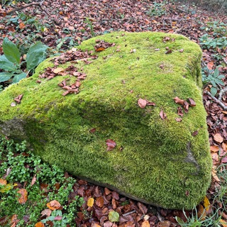 Логотип @amtlichername - Amtlicher Name vs mensch