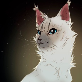 Логотип @amublox - ARTOMIR