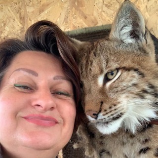 Логотип @amur_msk - Amur&kitties