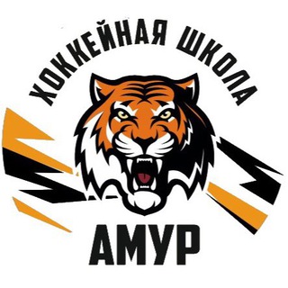 Логотип @amurschool27 - Amurschool27